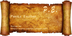 Pentz Eszter névjegykártya